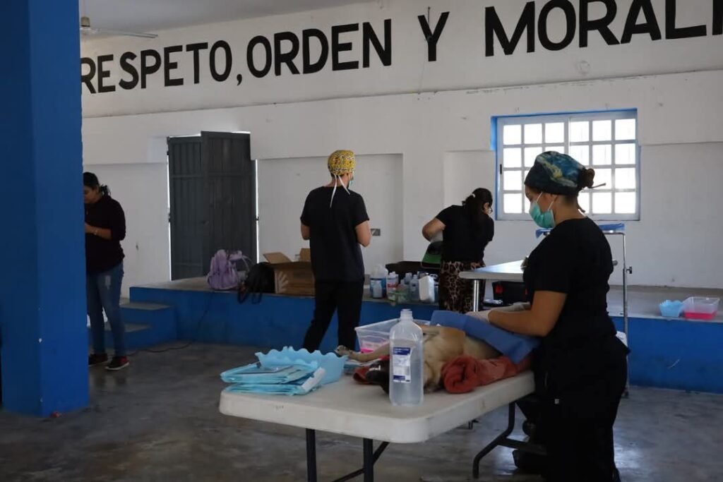 PROGRESO REFUERZA SU COMPROMISO CON EL BIENESTAR ANIMAL CON CAMPAÑA DE ...