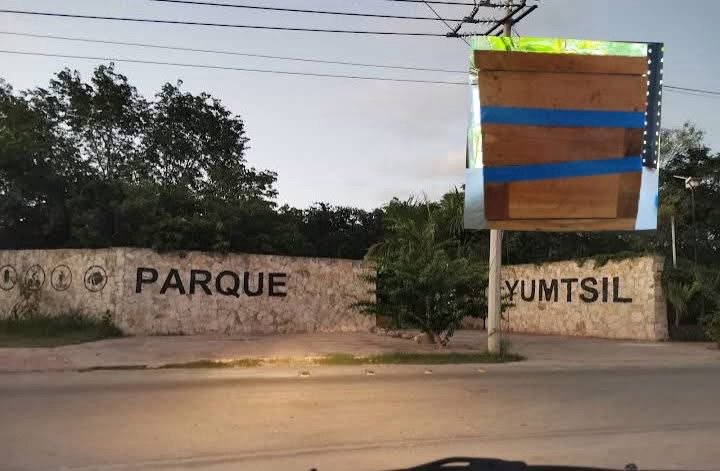 SE ROBAN COLMENAS DE ABEJAS SIN AGUIJÓN