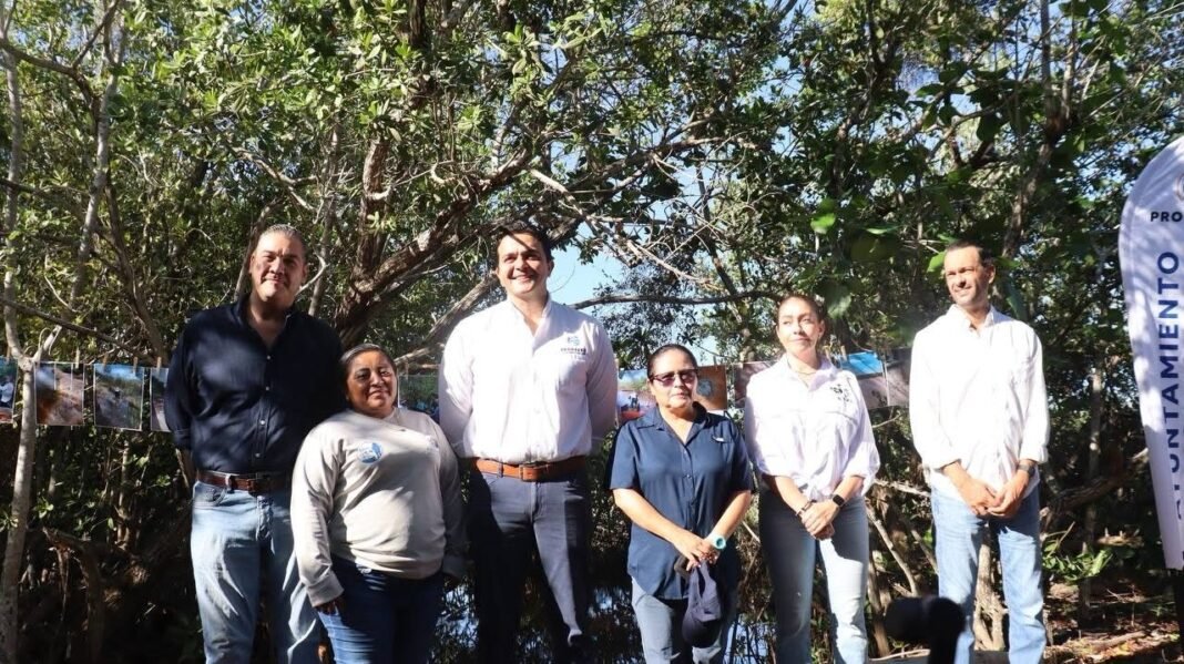 Rihani González entrega trabajos de restauración de manglar en Progreso junto al Cinvestav, UNAM y Semarnat