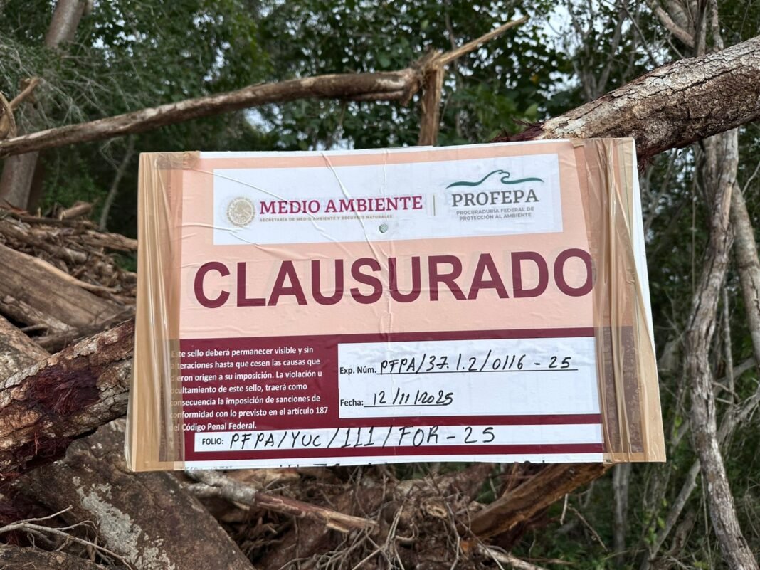 Clausura PROFEPA obras de CRIO en zona arqueológica de Tzemé