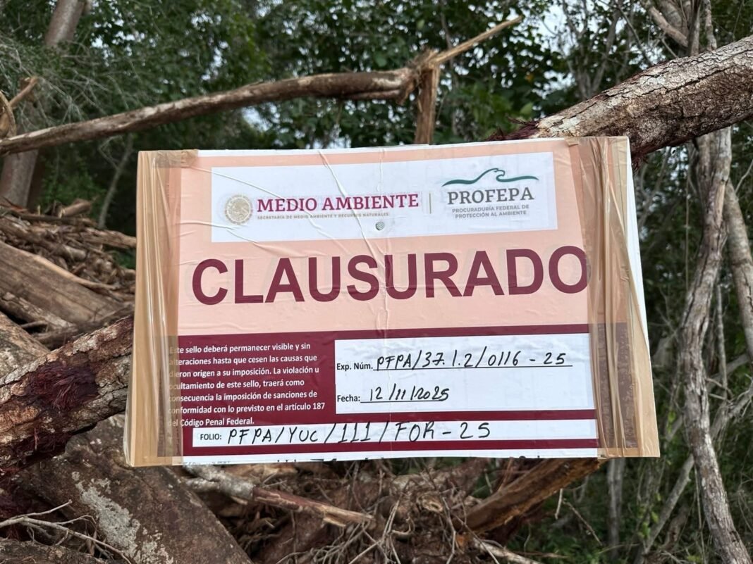 Clausura PROFEPA obras de CRIO en zona arqueológica maya de Tzemé