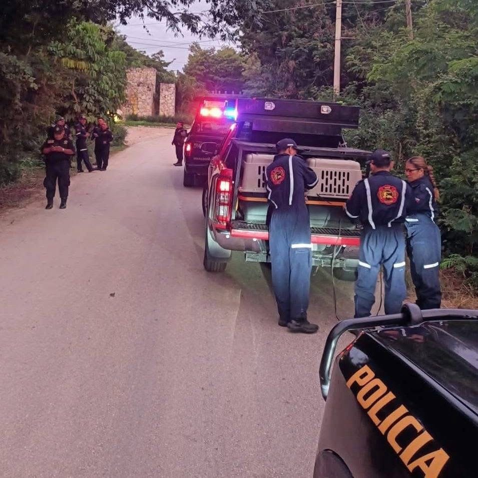 Intensifican búsqueda de adulto mayor desaparecido en Chocholá