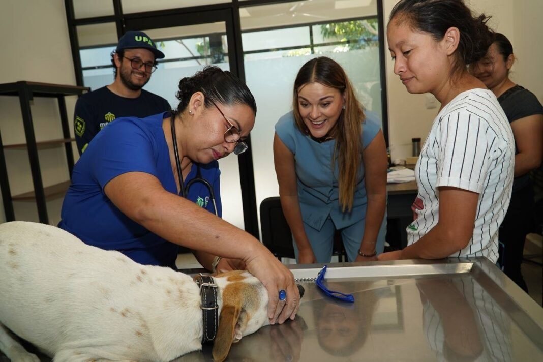 Mérida impulsa el bienestar animal con jornada de esterilización “Suma una Pata”