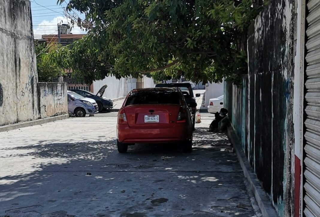 Preocupación vecinal en Pacabtún por presencia de perros sueltos y obstrucción del paso en el andador de la calle 48