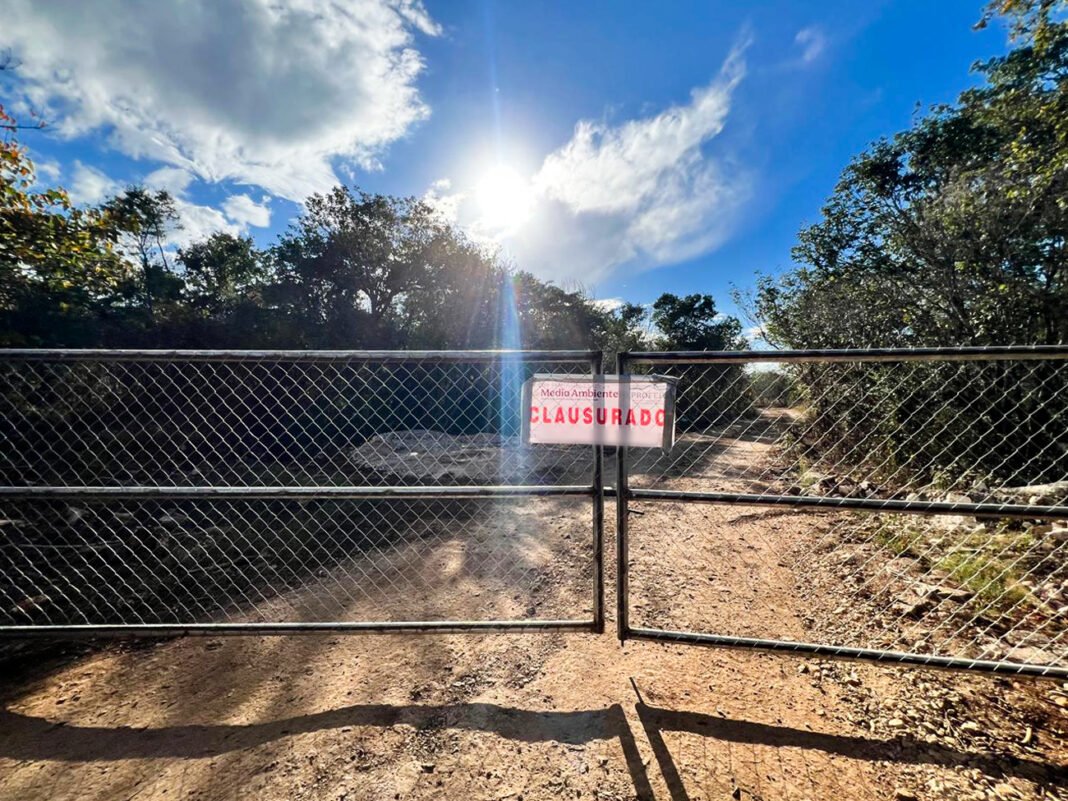 Profepa clausura predio en Kinchil por cambio ilegal de uso de suelo forestal
