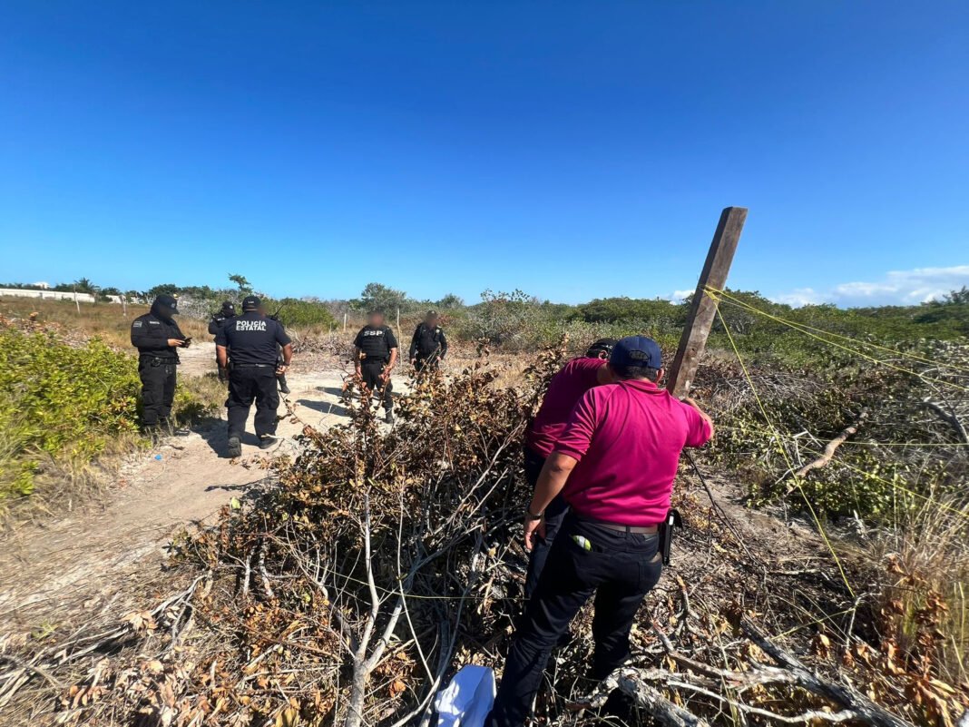 Profepa clausura obras ilegales por desmonte de manglar y lotificación en Chelem