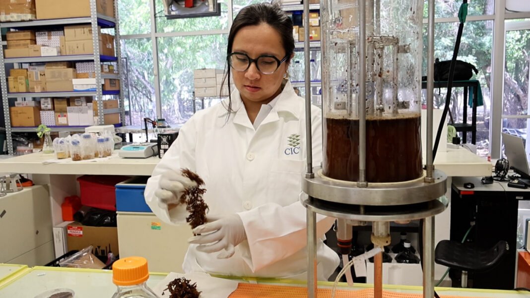 CICY impulsa la innovación y la protección de la propiedad intelectual