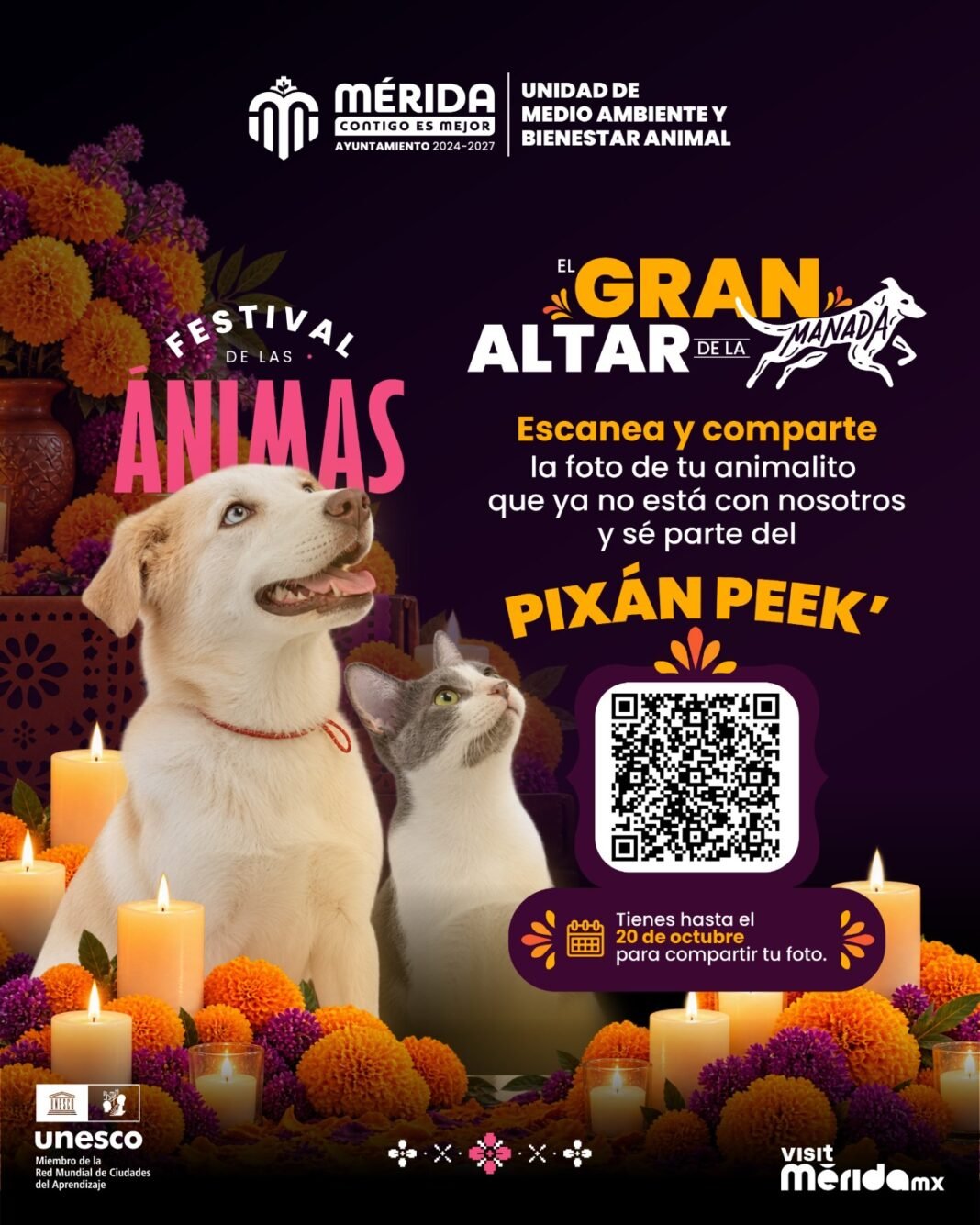 Pixán Peek 2026: Abre convocatoria para honrar a las mascotas fallecidas en el Festival de las Ánimas de Mérida